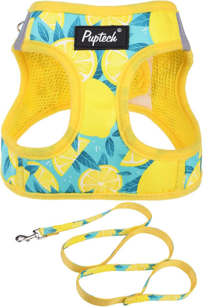 Small Dog Harness and Leash Set No Pull for XS XXS Sized Dogs Puppy | Escape Proof Step-in Reflective No Choke Pet Cat Adjustable Soft Padded Walking Vest