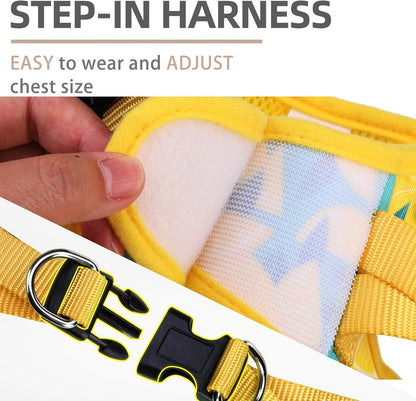 Small Dog Harness and Leash Set No Pull for XS XXS Sized Dogs Puppy | Escape Proof Step-in Reflective No Choke Pet Cat Adjustable Soft Padded Walking Vest