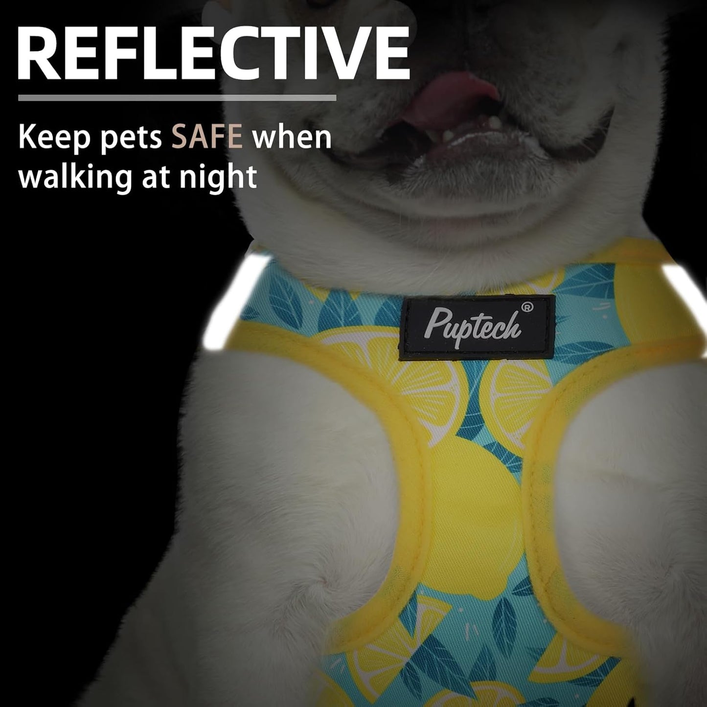 Small Dog Harness and Leash Set No Pull for XS XXS Sized Dogs Puppy | Escape Proof Step-in Reflective No Choke Pet Cat Adjustable Soft Padded Walking Vest