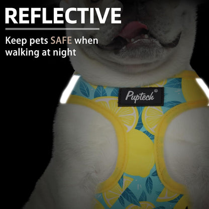 Small Dog Harness and Leash Set No Pull for XS XXS Sized Dogs Puppy | Escape Proof Step-in Reflective No Choke Pet Cat Adjustable Soft Padded Walking Vest