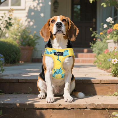 Small Dog Harness and Leash Set No Pull for XS XXS Sized Dogs Puppy | Escape Proof Step-in Reflective No Choke Pet Cat Adjustable Soft Padded Walking Vest