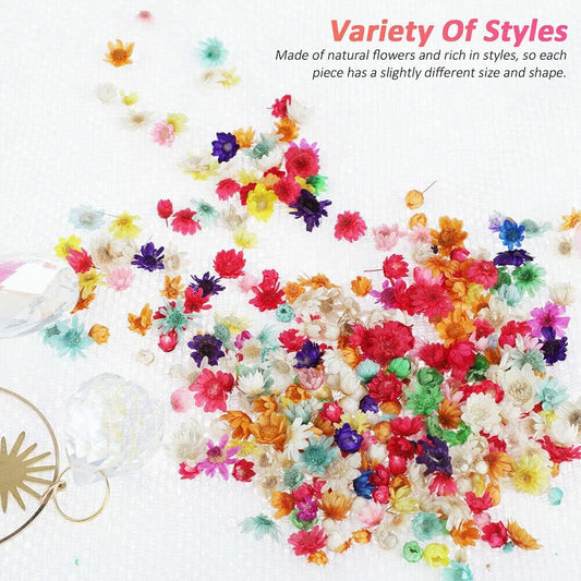 710pcs DIY Dried Flowers Scattered Aromatherapy Candle Epoxy Resin Pendant