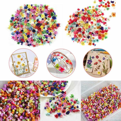 710pcs DIY Dried Flowers Scattered Aromatherapy Candle Epoxy Resin Pendant
