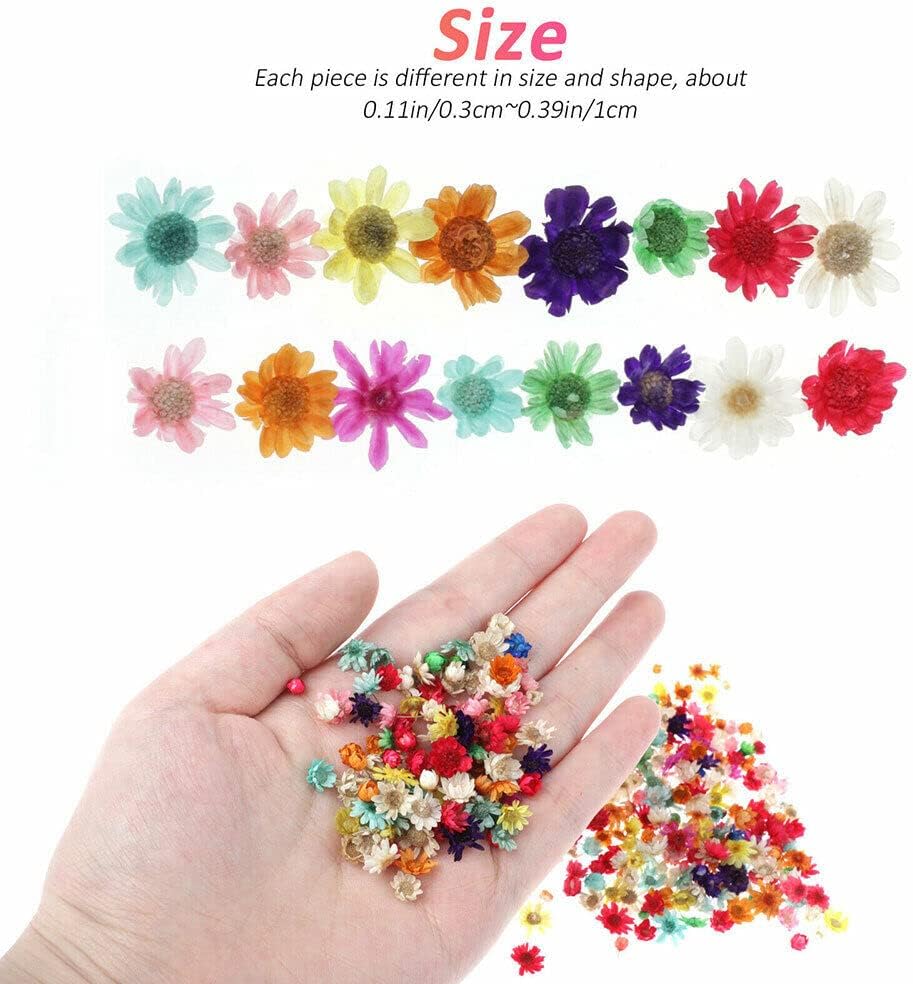710pcs DIY Dried Flowers Scattered Aromatherapy Candle Epoxy Resin Pendant