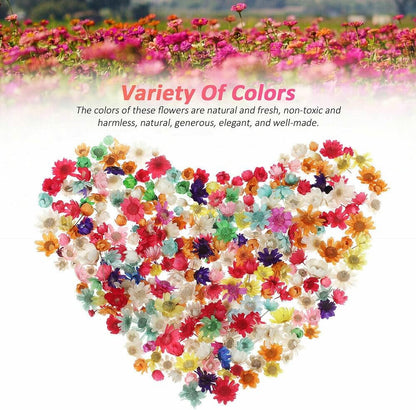 710pcs DIY Dried Flowers Scattered Aromatherapy Candle Epoxy Resin Pendant