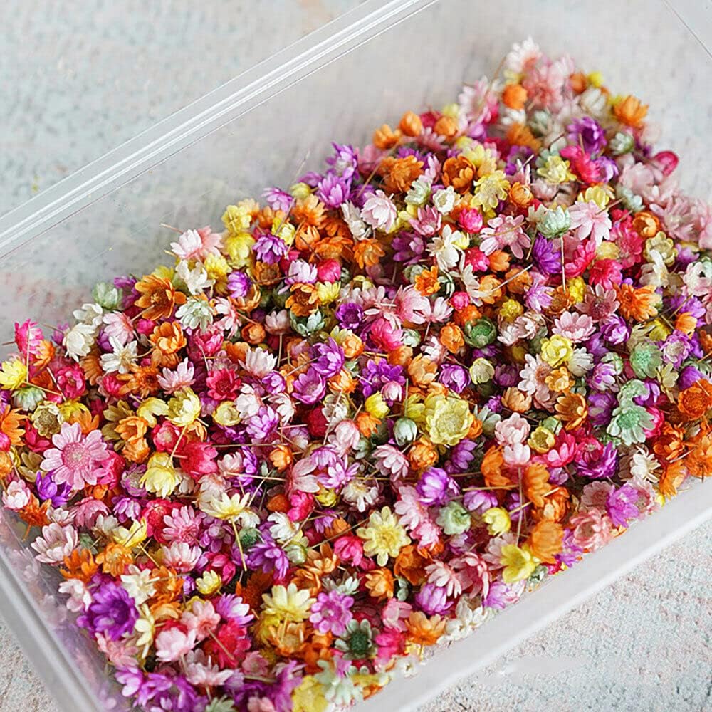 710pcs DIY Dried Flowers Scattered Aromatherapy Candle Epoxy Resin Pendant