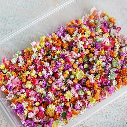 710pcs DIY Dried Flowers Scattered Aromatherapy Candle Epoxy Resin Pendant