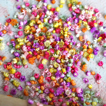 710pcs DIY Dried Flowers Scattered Aromatherapy Candle Epoxy Resin Pendant