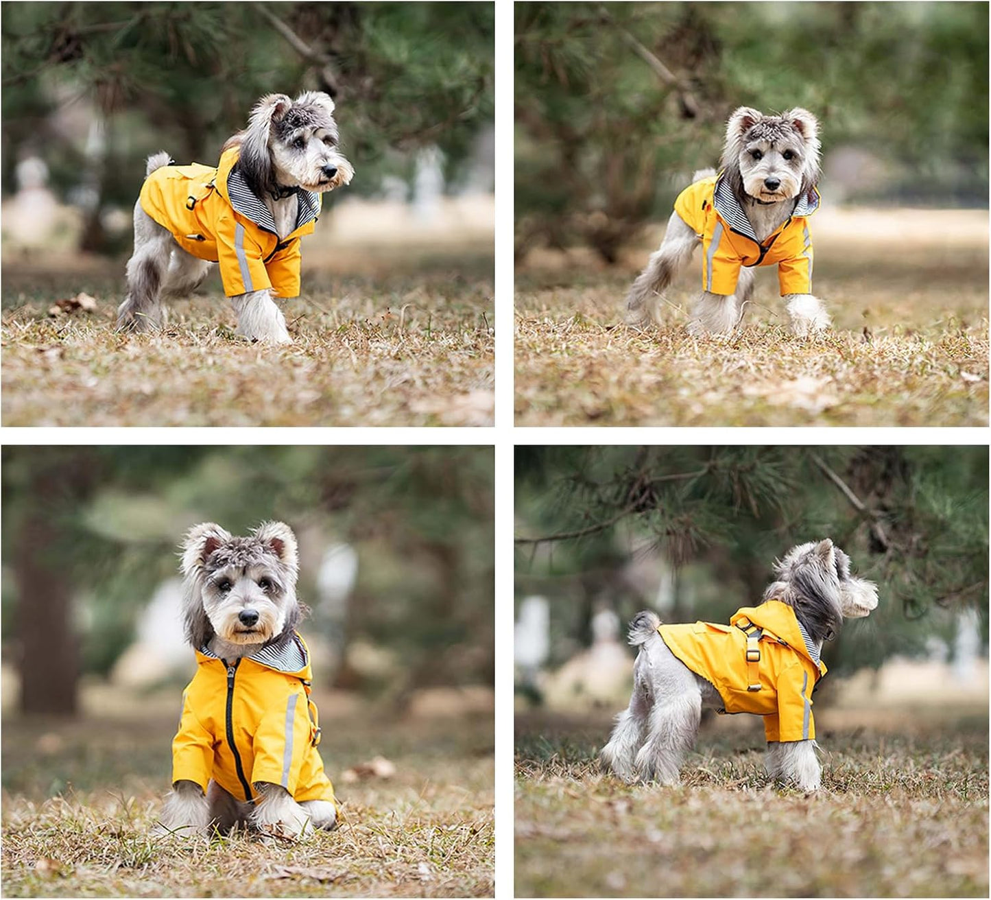 Small Dog Harness Raincoat, Hooded Waterproof Rain Jacket with Harness, Adjustable Reflective Coat for Puppy Small Dog Boy Girl Yellow XS