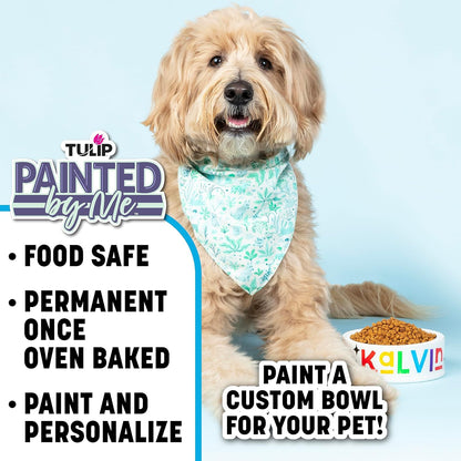 Painted by Me Ceramic Painting Kit - Pet Bowl