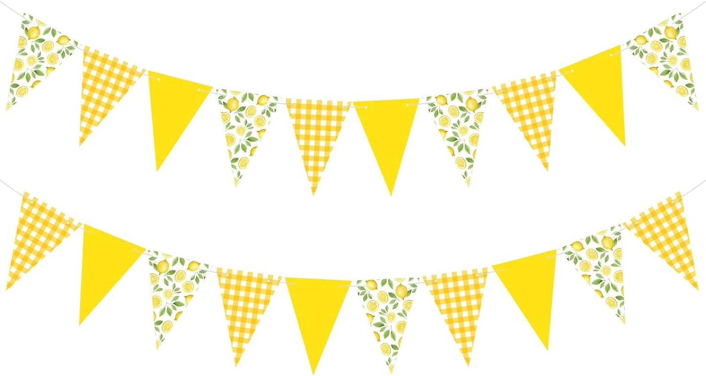 2 Pcs Lemon Party Decorations Yellow Plaid Floral Lemon Banner Bunting Hanging Triangle Garland Streamer for Wedding Bridal Shower Engagement Bachelorette Baby Shower Birthday Party Supplies
