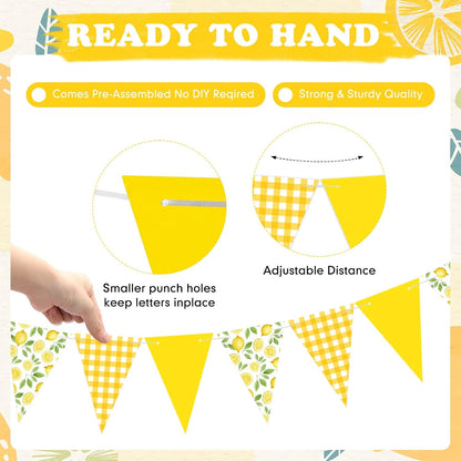 2 Pcs Lemon Party Decorations Yellow Plaid Floral Lemon Banner Bunting Hanging Triangle Garland Streamer for Wedding Bridal Shower Engagement Bachelorette Baby Shower Birthday Party Supplies