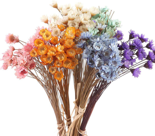 300PCS Dried Flowers Brazilian Small Star Daisy, 15" Decorative Natural Mini Chamomile Bouquet, Floral Arrangements for Wedding Party Home Decor, Dried Flowers Bundles for DIY Craft