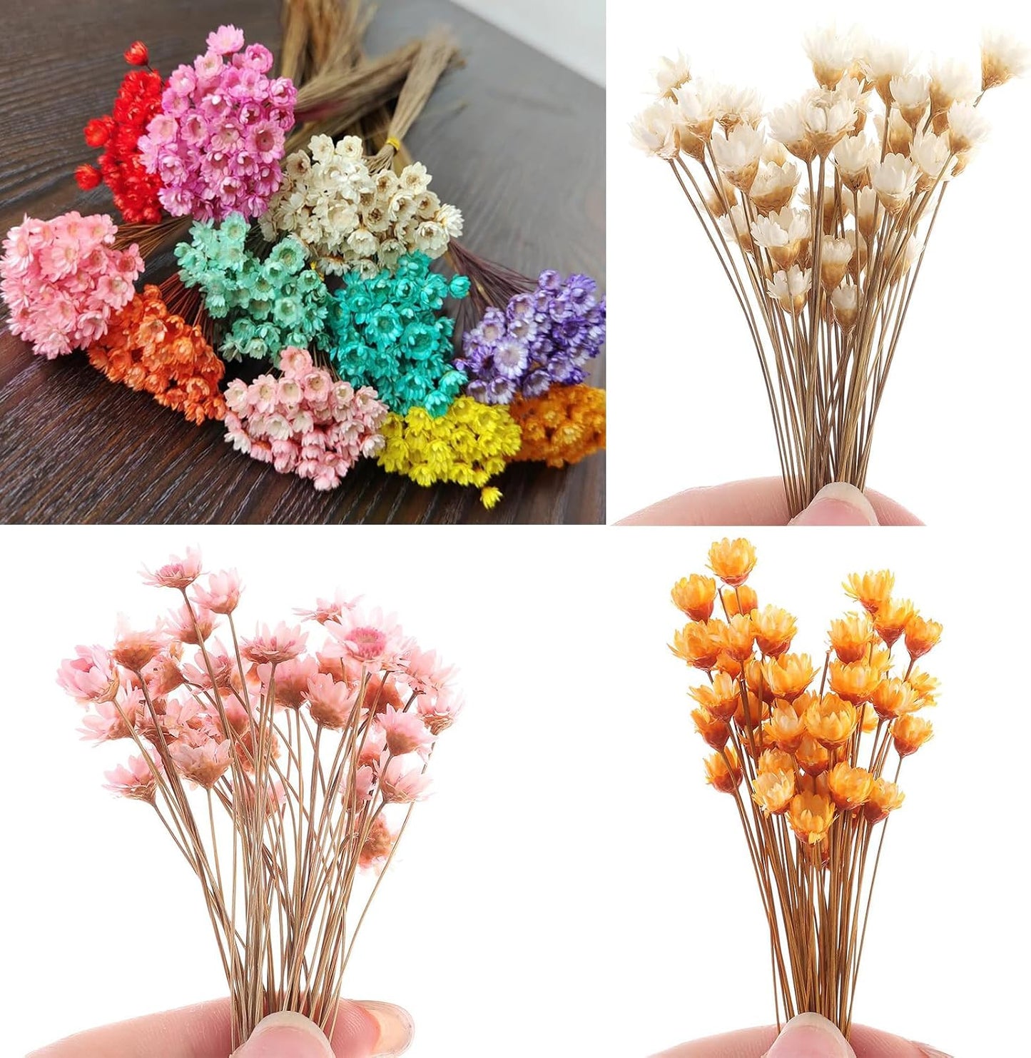 300PCS Dried Flowers Brazilian Small Star Daisy, 15" Decorative Natural Mini Chamomile Bouquet, Floral Arrangements for Wedding Party Home Decor, Dried Flowers Bundles for DIY Craft