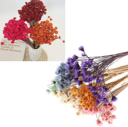 300PCS Dried Flowers Brazilian Small Star Daisy, 15" Decorative Natural Mini Chamomile Bouquet, Floral Arrangements for Wedding Party Home Decor, Dried Flowers Bundles for DIY Craft