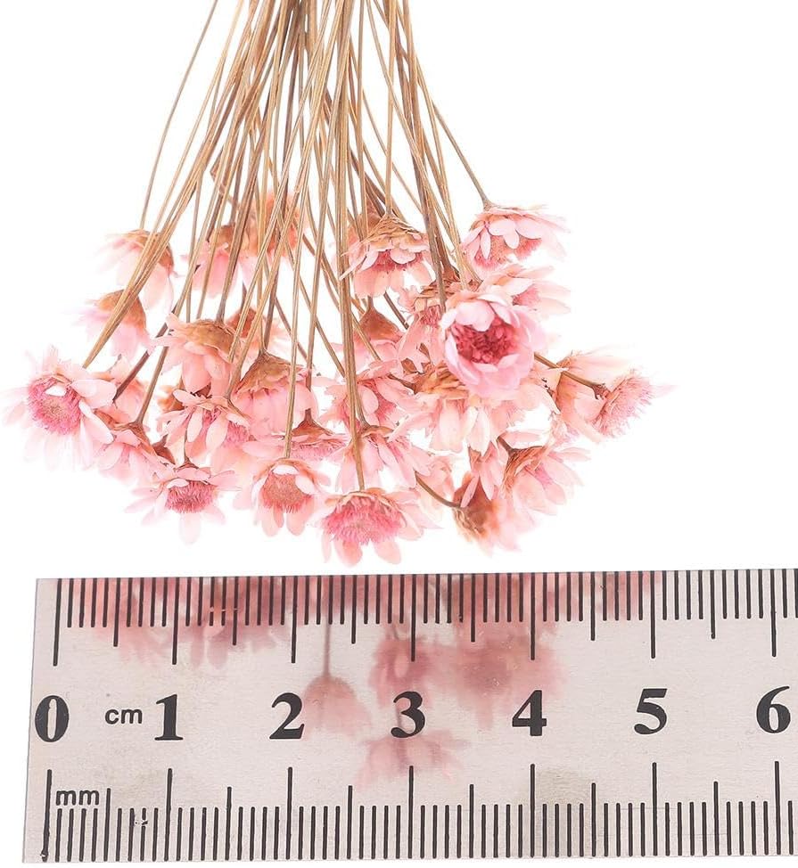 300PCS Dried Flowers Brazilian Small Star Daisy, 15" Decorative Natural Mini Chamomile Bouquet, Floral Arrangements for Wedding Party Home Decor, Dried Flowers Bundles for DIY Craft