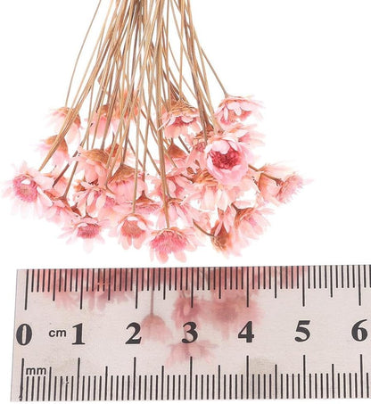 300PCS Dried Flowers Brazilian Small Star Daisy, 15" Decorative Natural Mini Chamomile Bouquet, Floral Arrangements for Wedding Party Home Decor, Dried Flowers Bundles for DIY Craft
