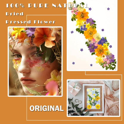 34Pcs Pressed Dried Flowers for Resin, Assorted Real Natural Bulk Dry Leaves for DIY Art Crafts, Epoxy Molds, Jewelry, Soap, Candle Making, Nails Decors