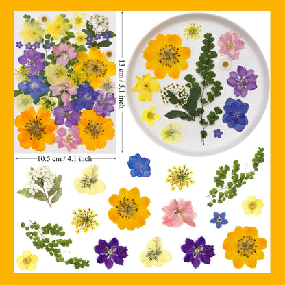 34Pcs Pressed Dried Flowers for Resin, Assorted Real Natural Bulk Dry Leaves for DIY Art Crafts, Epoxy Molds, Jewelry, Soap, Candle Making, Nails Decors