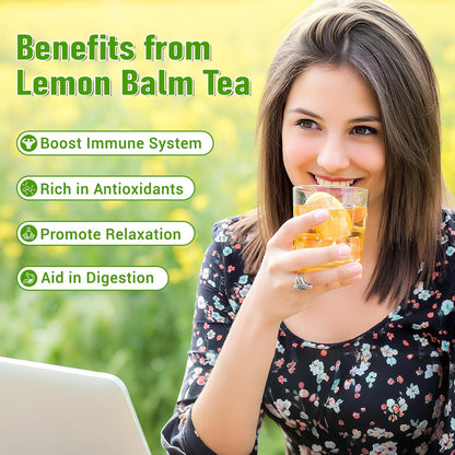 Lemon Balm Tea Bags, Pure & Natural Dried Lemon Balm, Herbal Tea Bags with Caffeine Free, Premium Lemon Balm Leaf for Calming and Digestion Support (1 Pack/50 Bags)
