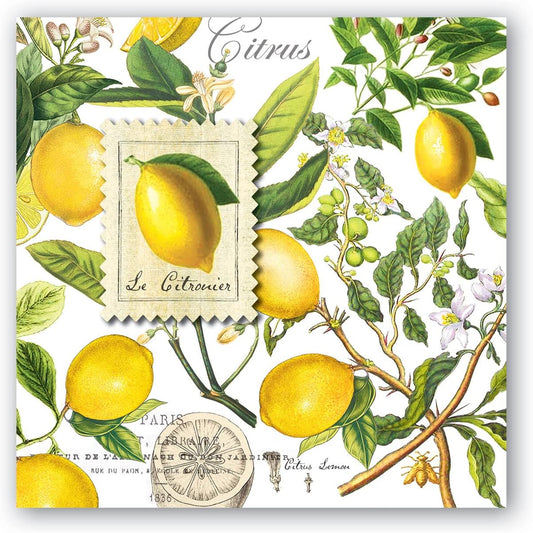 Soft Triple-ply Paper Cocktail Napkins, Lemon Basil Themed, Perfect for Everday Use and Display