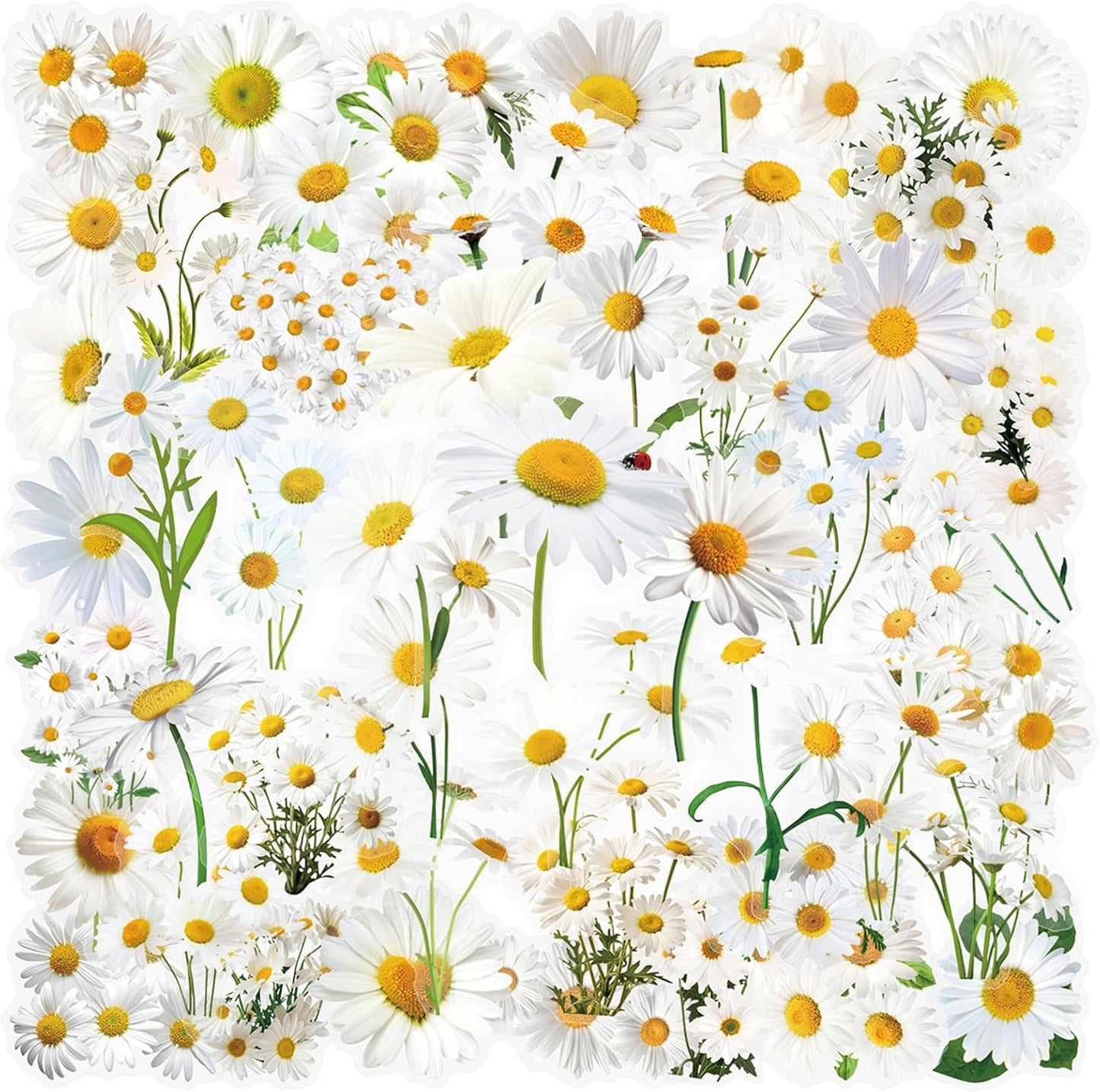 50pcs Transparent Yellow Flower Stickers for Scrapbooking Water Bottles Laptop Journaling,Cartoon Floral Sticker for Teens Planners,Cards,Gifts,Crafts,Art Projects,Glass Potion Bottles(Flower-C)