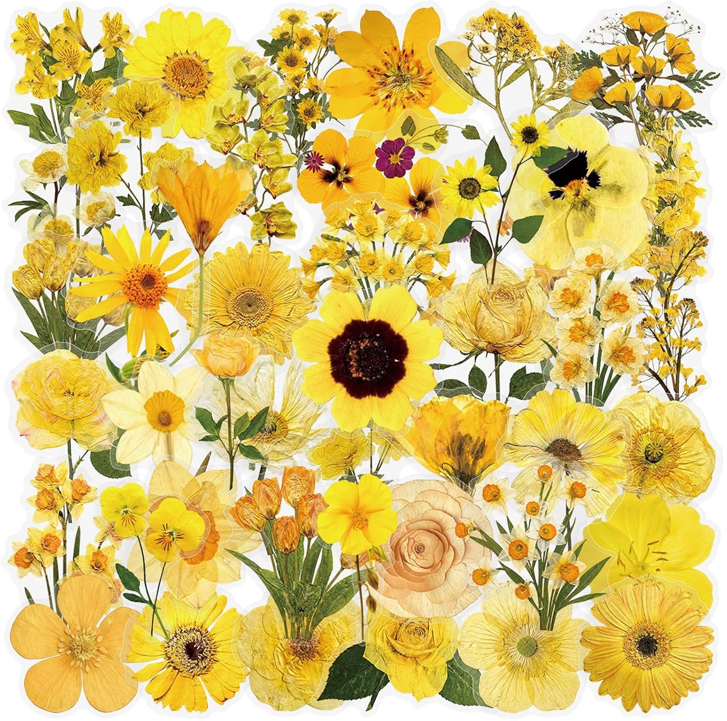 50pcs Transparent Yellow Flower Stickers for Scrapbooking Water Bottles Laptop Journaling,Cartoon Floral Sticker for Teens Planners,Cards,Gifts,Crafts,Art Projects,Glass Potion Bottles(Flower-C)