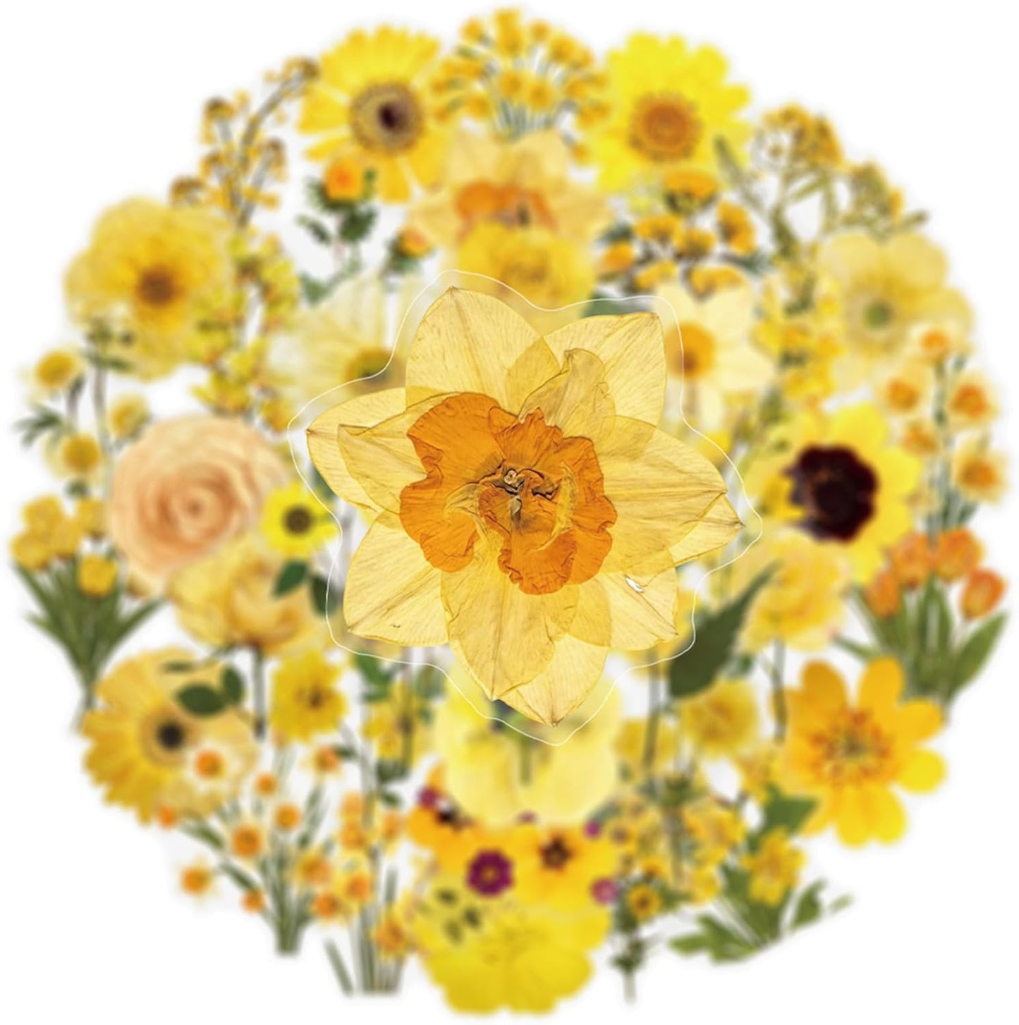 50pcs Transparent Yellow Flower Stickers for Scrapbooking Water Bottles Laptop Journaling,Cartoon Floral Sticker for Teens Planners,Cards,Gifts,Crafts,Art Projects,Glass Potion Bottles(Flower-C)