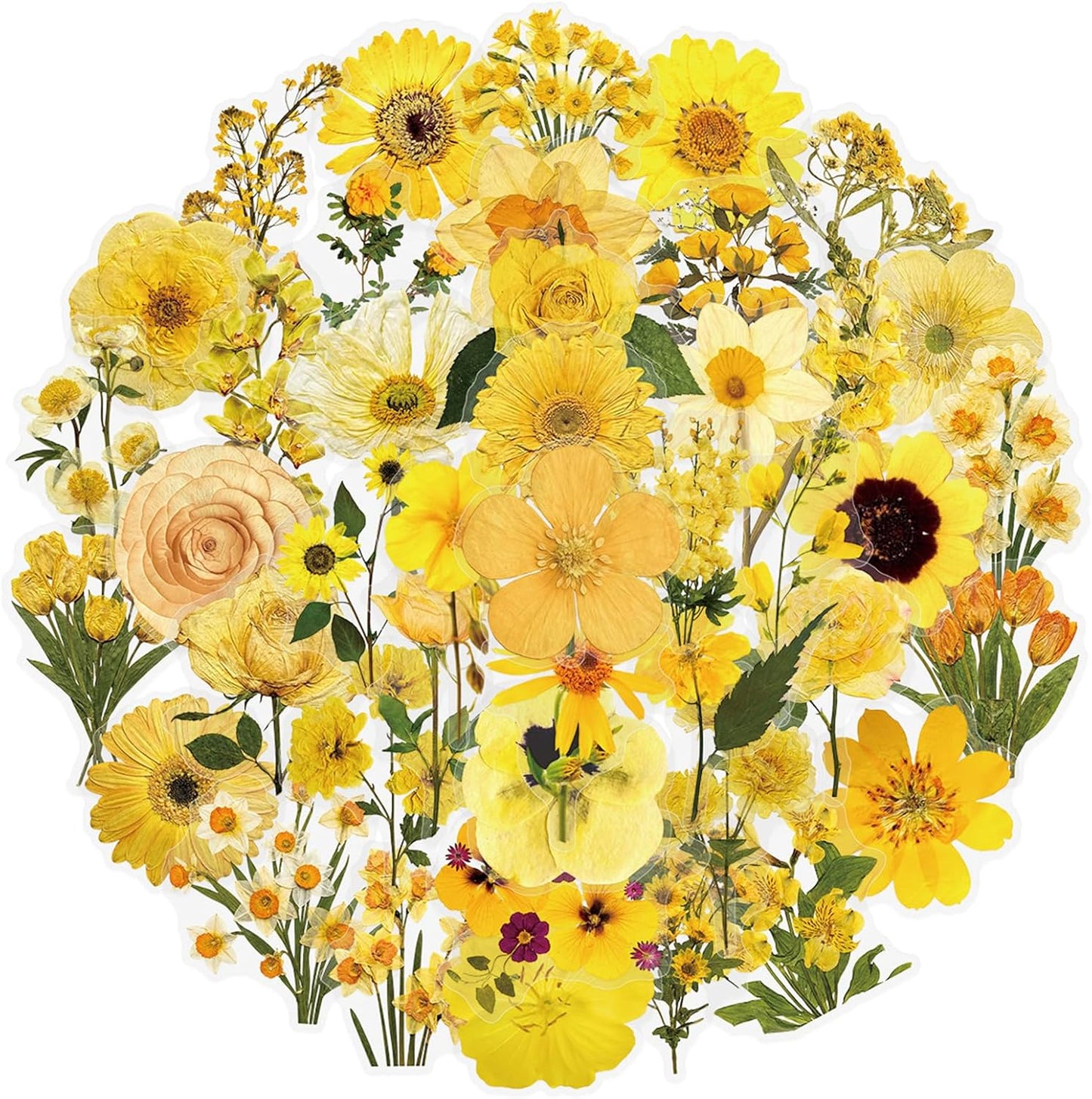 50pcs Transparent Yellow Flower Stickers for Scrapbooking Water Bottles Laptop Journaling,Cartoon Floral Sticker for Teens Planners,Cards,Gifts,Crafts,Art Projects,Glass Potion Bottles(Flower-C)