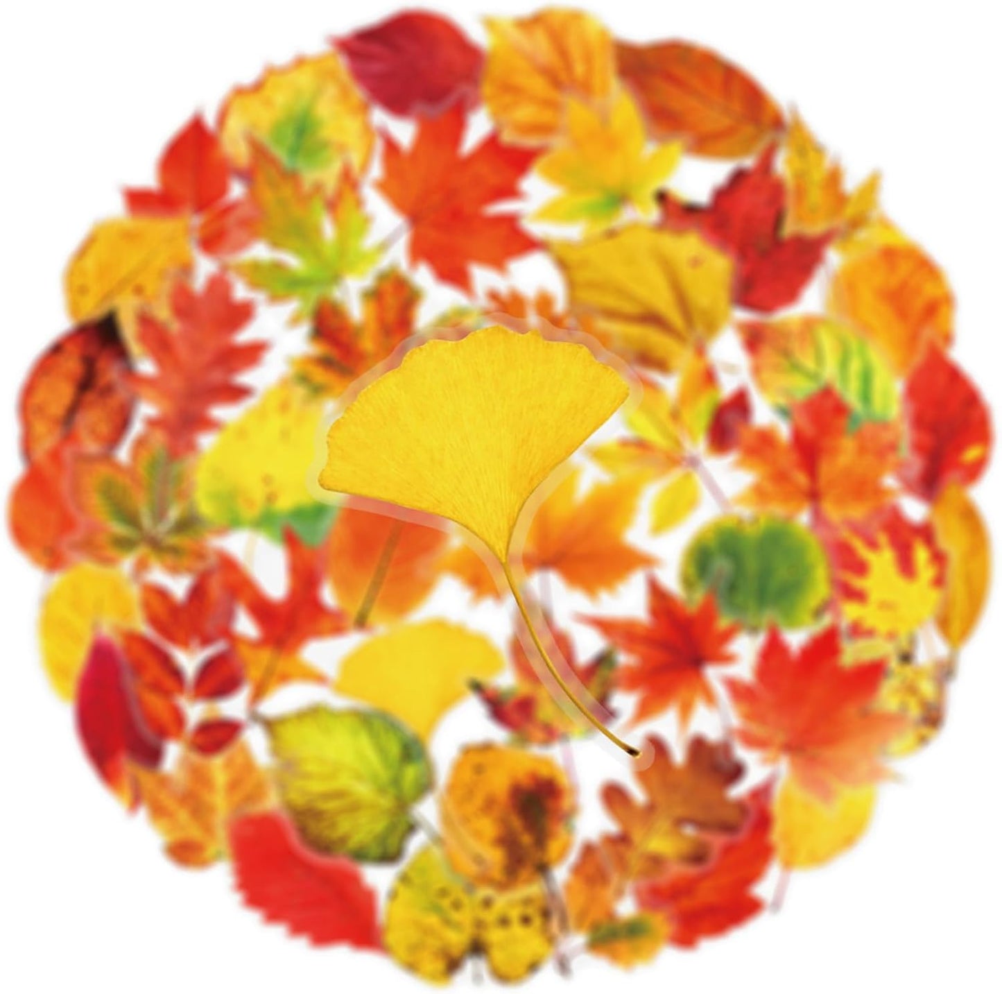 50pcs Transparent Yellow Flower Stickers for Scrapbooking Water Bottles Laptop Journaling,Cartoon Floral Sticker for Teens Planners,Cards,Gifts,Crafts,Art Projects,Glass Potion Bottles(Flower-C)