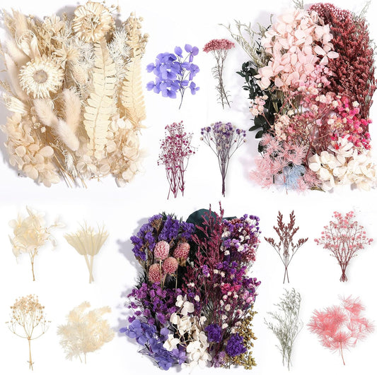 Real Dried Flowers 100% Natural Dried Flowers, Mixed Colors Dried Leaf Flowers for DIY Arts and Crafts Candles Resin Jewelry Nail Pendant Cards Scrapbooking Wedding Home Decoration
