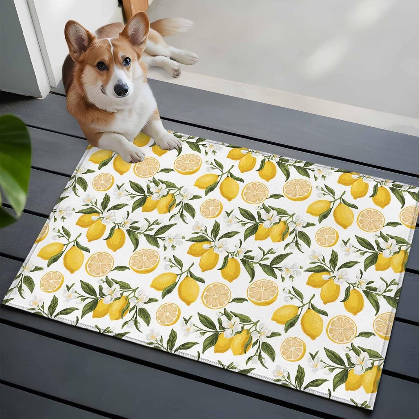 Summer Lemon Entryway Rug 2'x3', Hand Painted Lemon Small Area Rug Non-Slip Front Door Mat Washable Floor Carpet for Indoor Entrance Kitchen Bathroom