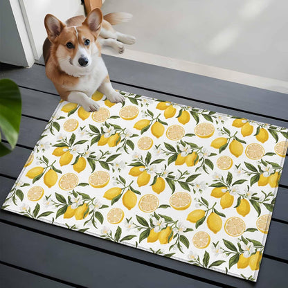 Summer Lemon Entryway Rug 2'x3', Hand Painted Lemon Small Area Rug Non-Slip Front Door Mat Washable Floor Carpet for Indoor Entrance Kitchen Bathroom