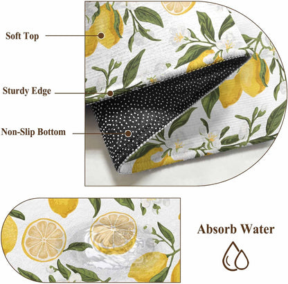 Summer Lemon Entryway Rug 2'x3', Hand Painted Lemon Small Area Rug Non-Slip Front Door Mat Washable Floor Carpet for Indoor Entrance Kitchen Bathroom