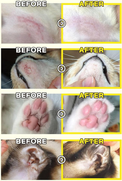 Yellow Centella Salve – Hot Spot & Wound Care Ointment for Dogs, Cats & Small Animals – Lick-Safe, Fast-Acting, Steroid-Free, Natural Healing Balm for Cracked Paws & Skin Irritation, 0.24 oz