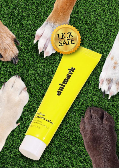 Yellow Centella Salve – Hot Spot & Wound Care Ointment for Dogs, Cats & Small Animals – Lick-Safe, Fast-Acting, Steroid-Free, Natural Healing Balm for Cracked Paws & Skin Irritation, 0.24 oz