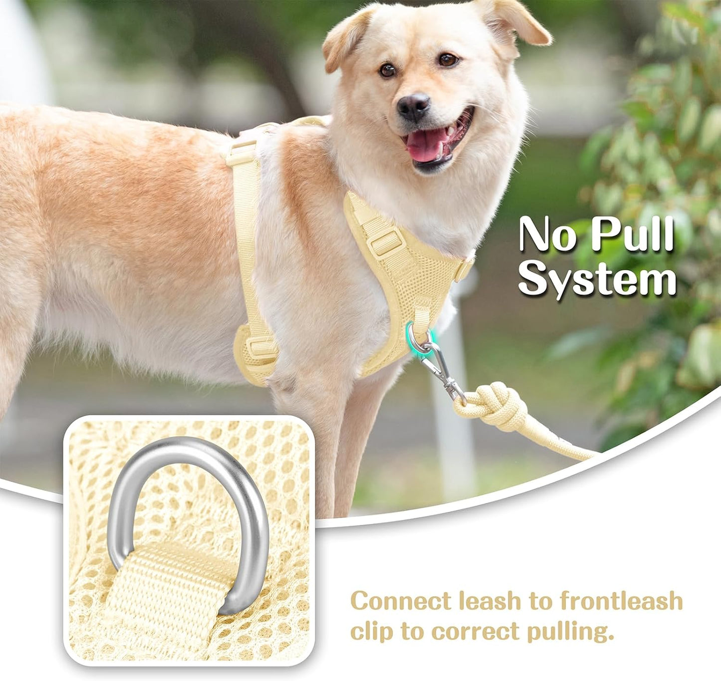 No Pull Dog Harness Escape Proof, Adjustable Mesh Puppy Vest | Light Yellow XS, Breathable Lightweight Fabric, Dual Front & Back D-ring, Easy on/off, No Choke for Small Medium Large Dogs