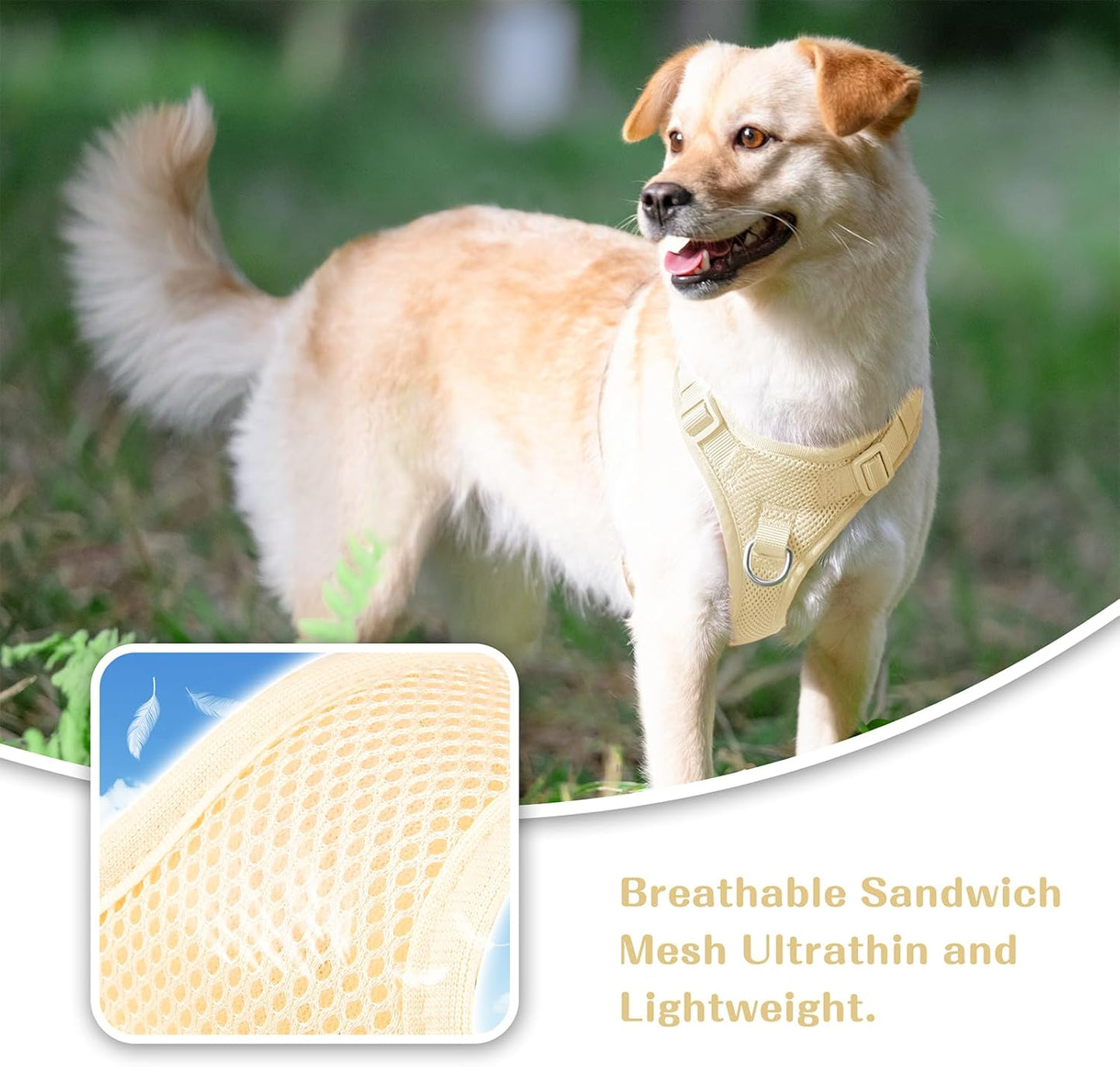 No Pull Dog Harness Escape Proof, Adjustable Mesh Puppy Vest | Light Yellow XS, Breathable Lightweight Fabric, Dual Front & Back D-ring, Easy on/off, No Choke for Small Medium Large Dogs