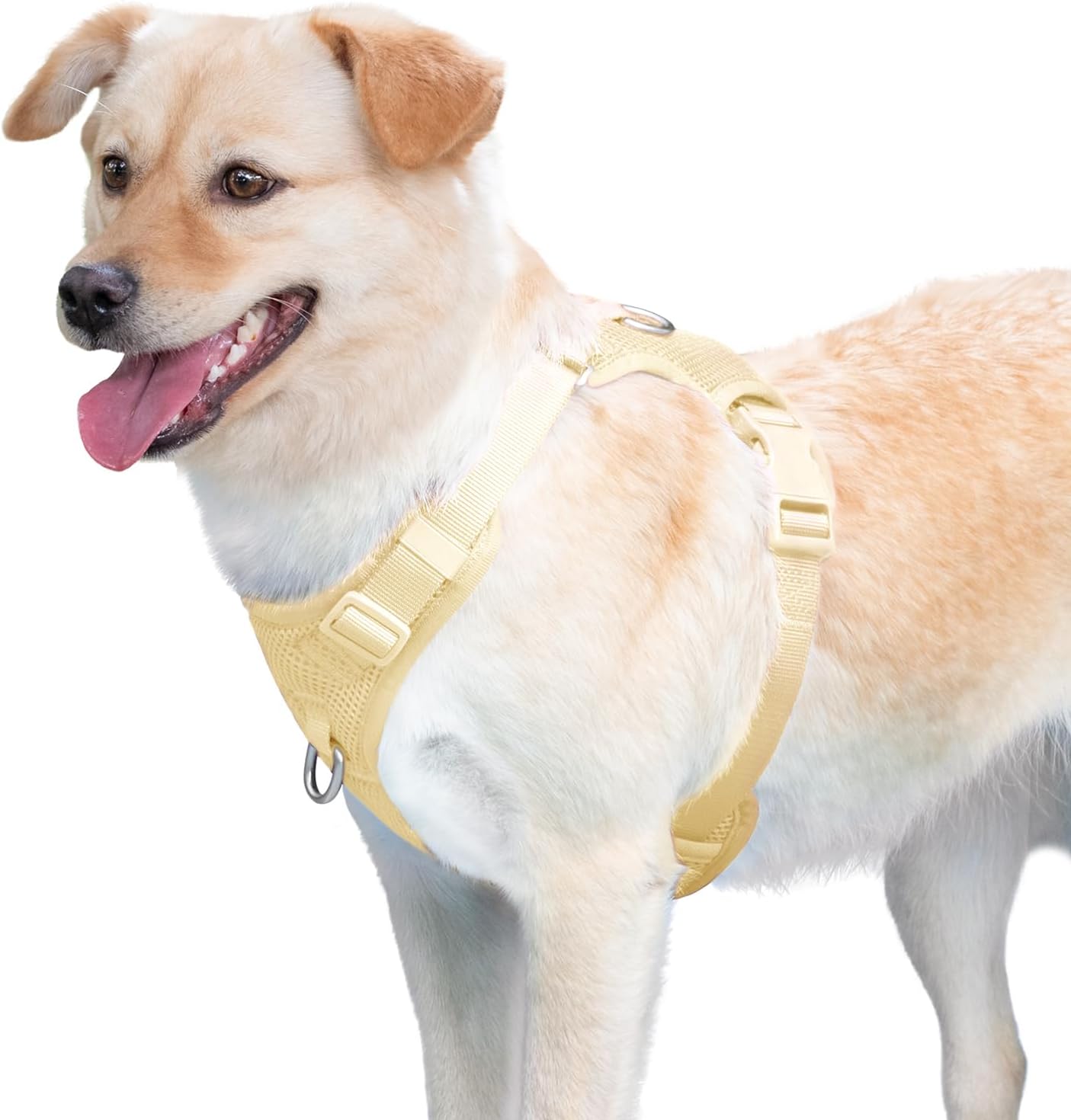 No Pull Dog Harness Escape Proof, Adjustable Mesh Puppy Vest | Light Yellow XS, Breathable Lightweight Fabric, Dual Front & Back D-ring, Easy on/off, No Choke for Small Medium Large Dogs