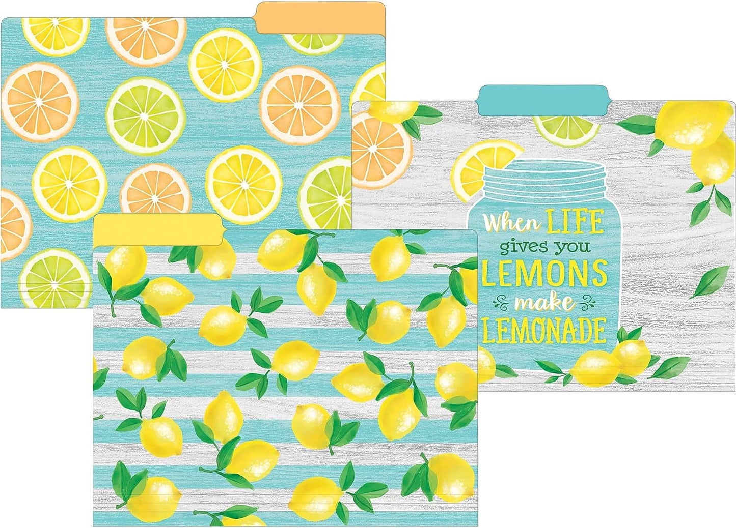 Teacher Created Resources Lemon Zest File Folders (TCR8542)