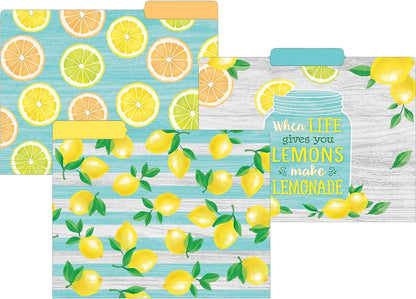 Teacher Created Resources Lemon Zest File Folders (TCR8542)