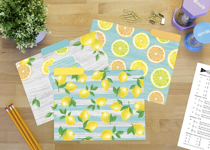 Teacher Created Resources Lemon Zest File Folders (TCR8542)