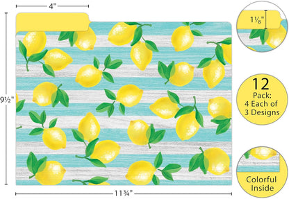 Teacher Created Resources Lemon Zest File Folders (TCR8542)