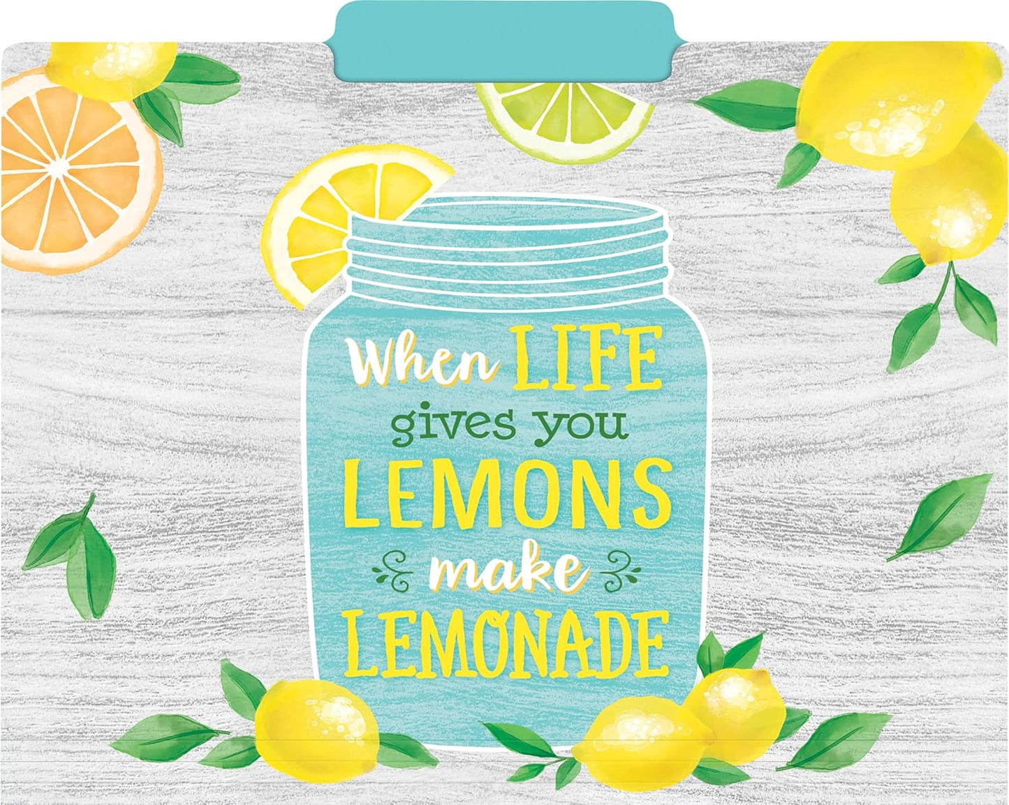 Teacher Created Resources Lemon Zest File Folders (TCR8542)