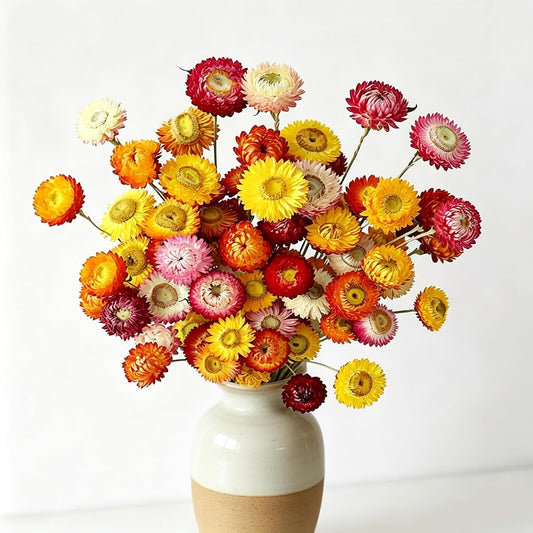 30Pcs Natural Multicolor Dried Daisy Flowers Stems-Dried Flowers Bouquet | Dried Flowers Bouquet for Vase, Farmhouse Rustic Wedding Home Decor, DIY Handmade Dry Flower Arrangement, Gift, Multi-Colored