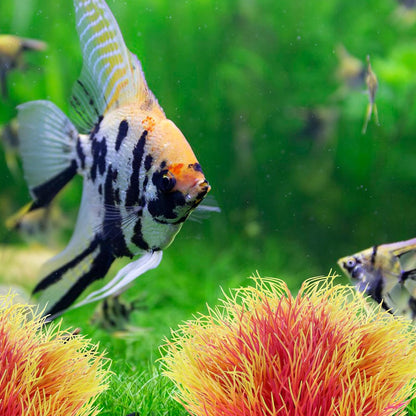 2PCS Fish Tank Plants Aquarium Plants Decorations Artificial Plastic Fish Tank Accessories Silk Green Natural Style Aquarium Plant (Pale Yellow)