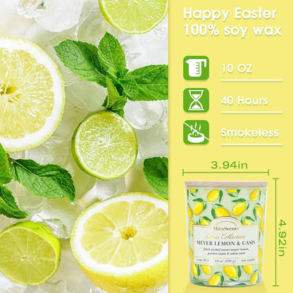 Lemon Candle,Lemon Scented Candles,Summer Scented Candle for Home & Kitchen,Natural Soy Wax Candles,Candles Gift for Womens,Mother Day Gift,10oz