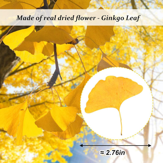 Yellow Dried Ginkgo Leaves for Resin, 42PCS Natural Dry Pressed Ginkgo Leaf for Epoxy Resin Mold Jewelry Card Making Scrapbooking DIY Art Crafts Table Wedding Party Meeting Room Decor