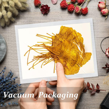 Yellow Dried Ginkgo Leaves for Resin, 42PCS Natural Dry Pressed Ginkgo Leaf for Epoxy Resin Mold Jewelry Card Making Scrapbooking DIY Art Crafts Table Wedding Party Meeting Room Decor