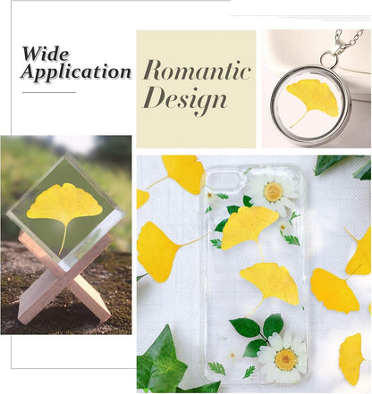 Yellow Dried Ginkgo Leaves for Resin, 42PCS Natural Dry Pressed Ginkgo Leaf for Epoxy Resin Mold Jewelry Card Making Scrapbooking DIY Art Crafts Table Wedding Party Meeting Room Decor